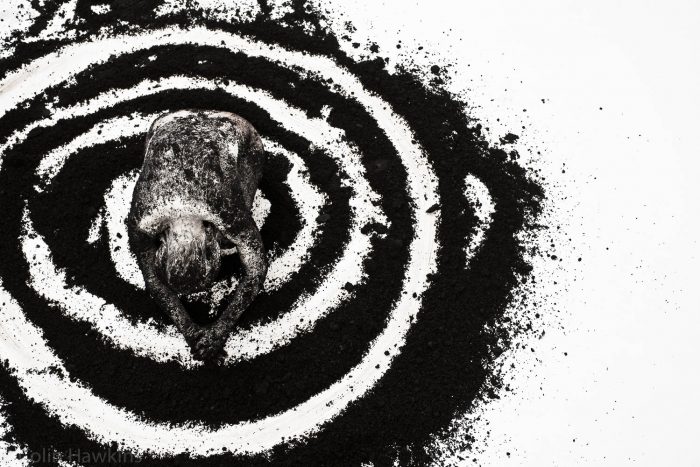 Woman from above in circle spiral of soil from the Fine Art Photography series by Three Collaborate