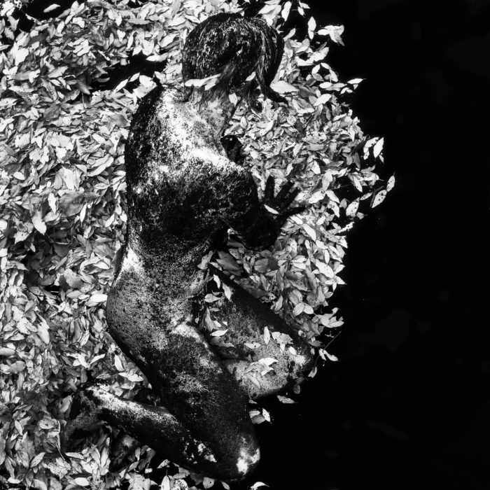 Woman photographed from above of a woman laying on peat and dried leaves called "Leaves, Clay Peat" from the Fine Art Photography series by Three Collaborate