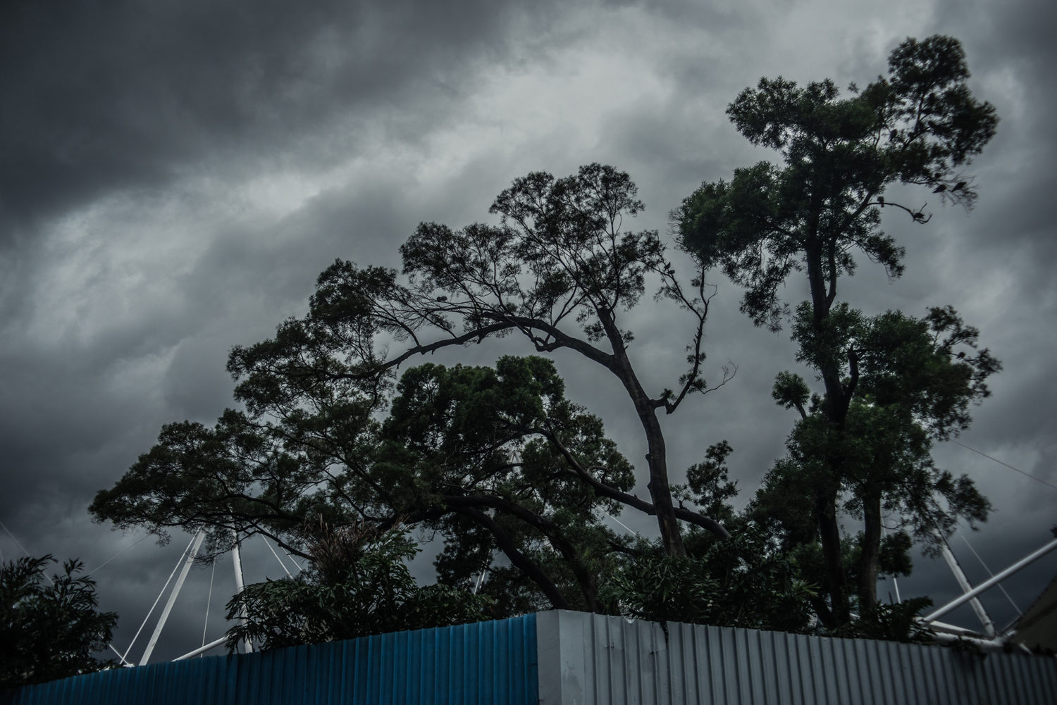 Hong Kong Park- Personal Landscape photography by Colin Hawkins